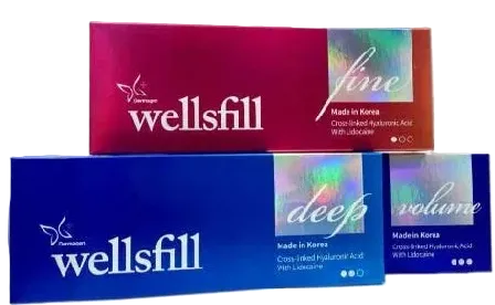 Wellsfill Filler - product image