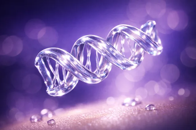 What Is Atelocollagen?